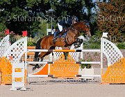 Paini Ottava Meraviglia GioCav2013 S5 4664 : Horses, Ottava Meraviglia, Paini Paolo, ph Stefano Secchi ©